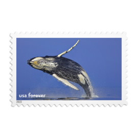 us-flag-forever-stamps-2022