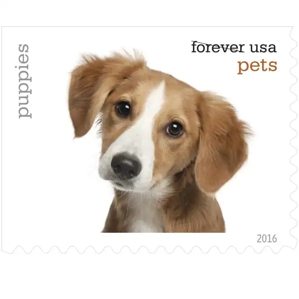 us-flag-forever-stamps-2022